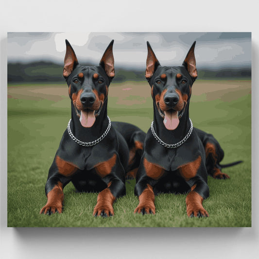 Two Dobermans - Paint by Numbers Kit