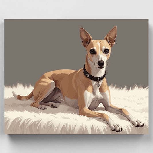 Elegant Greyhound on White Fur - Paint by Numbers Kit