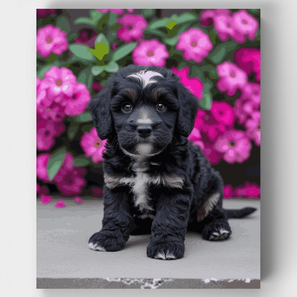 Adorable cachorro Cockapoo negro con flores rosas - Kit de pintura por números — Estándar