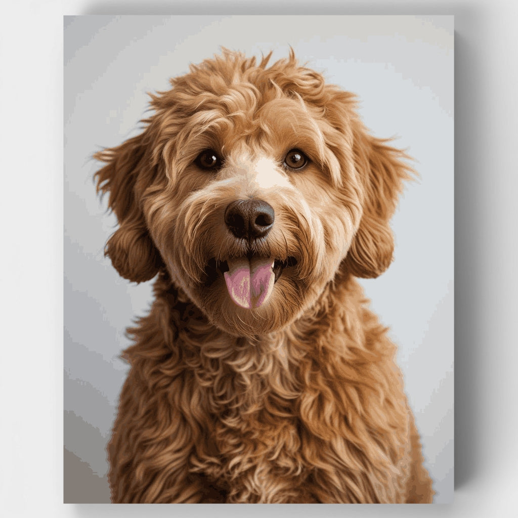Labradoodle de pelo rizado con expresión feliz - Kit de pintura por números — Estándar