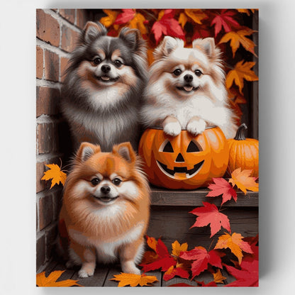 Pomeranians Halloween Trio - Paint by Numbers Kit