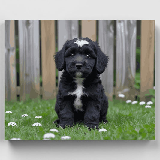 Black Cockapoo Puppy - Paint by Numbers Kit