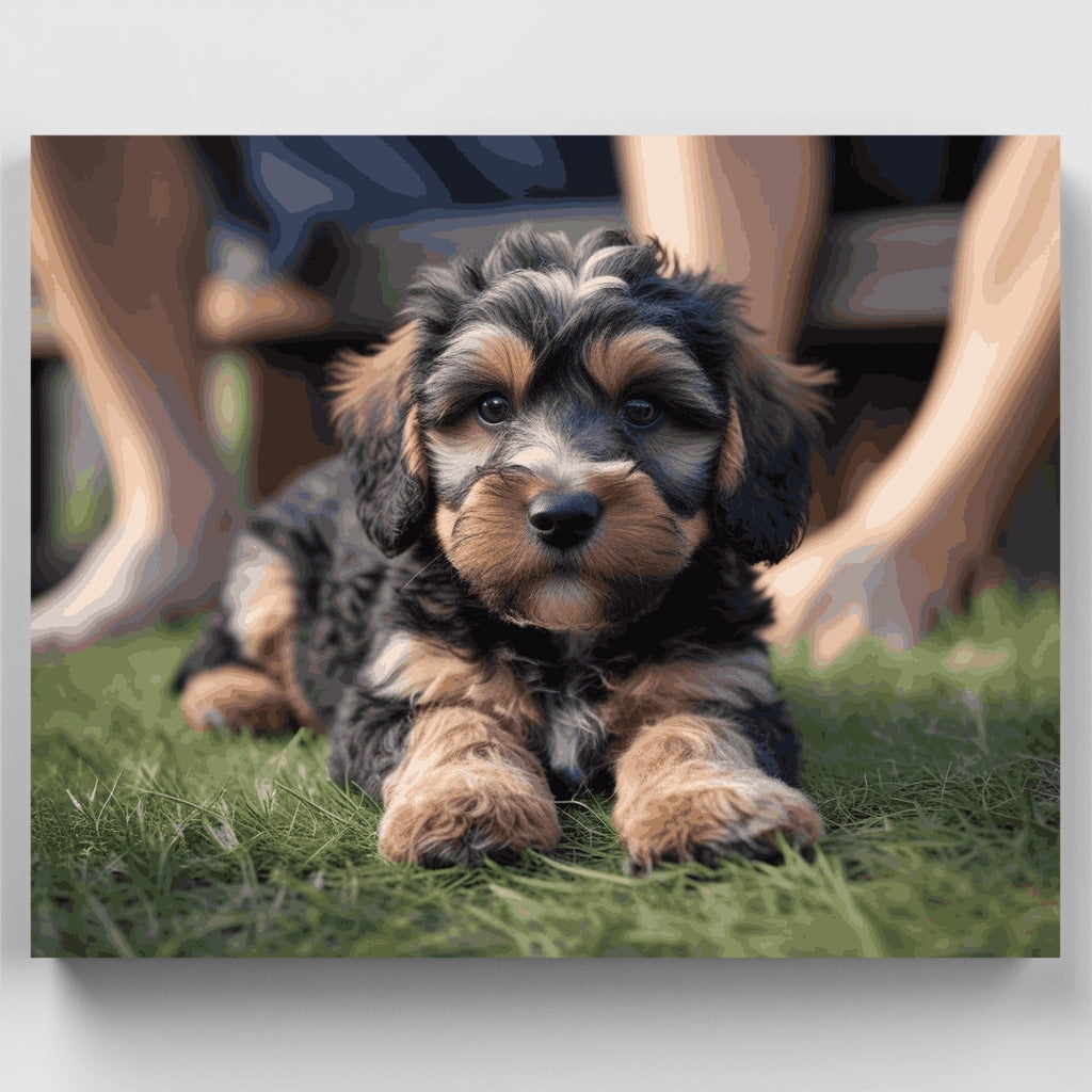Adorable cachorro de Cockapoo - Kit de pintura por números — Estándar