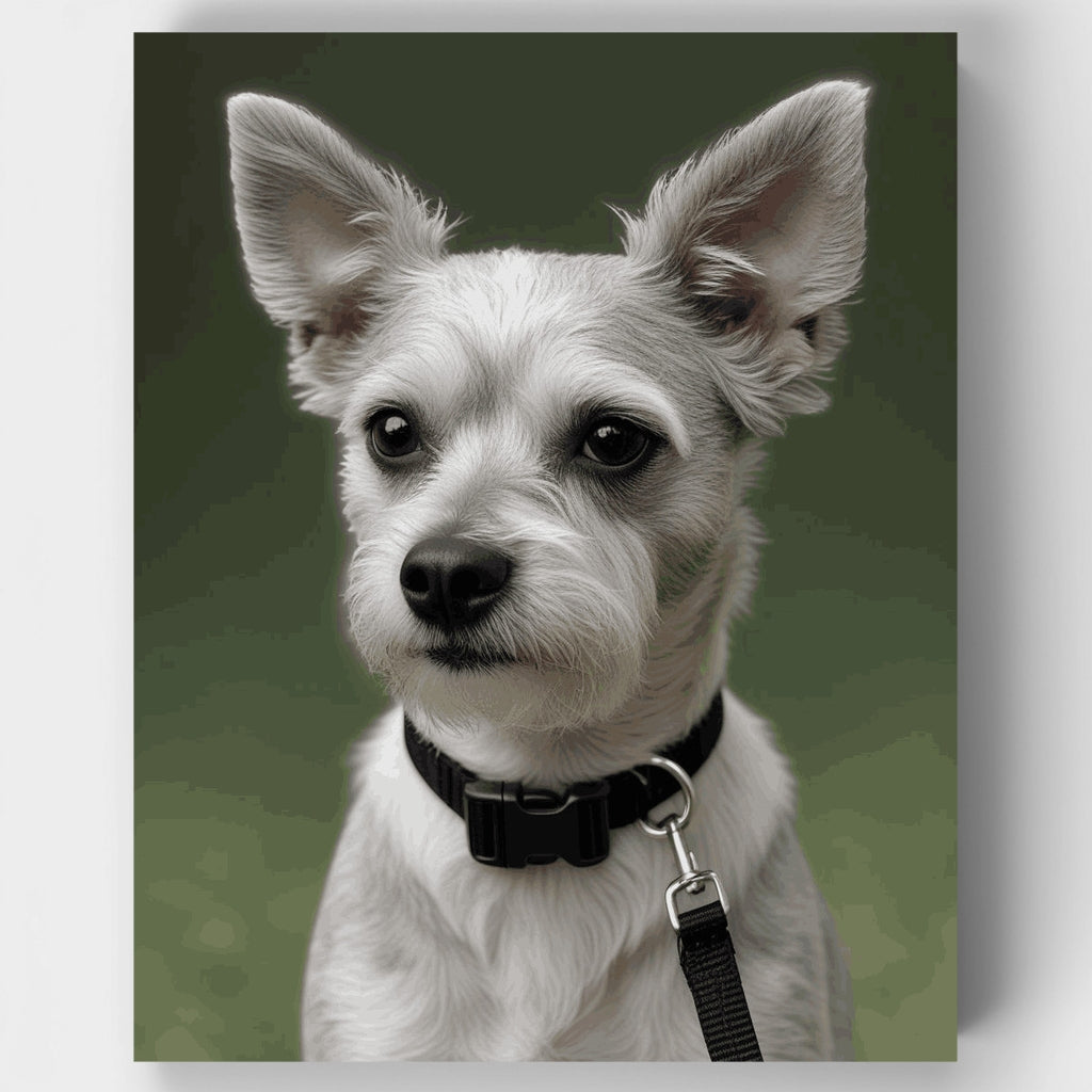 Adorable White Schnauzer Portrait - Paint by Numbers Kit