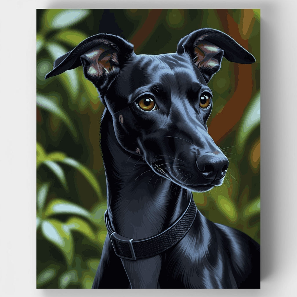 Retrato de galgo negro - Kit de pintura por números — Estándar