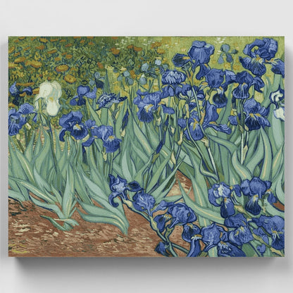 Irises - Paint by Numbers Kit