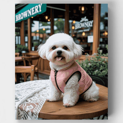 Stylish Bichon Frise at Cafe - Paint by Numbers Kit