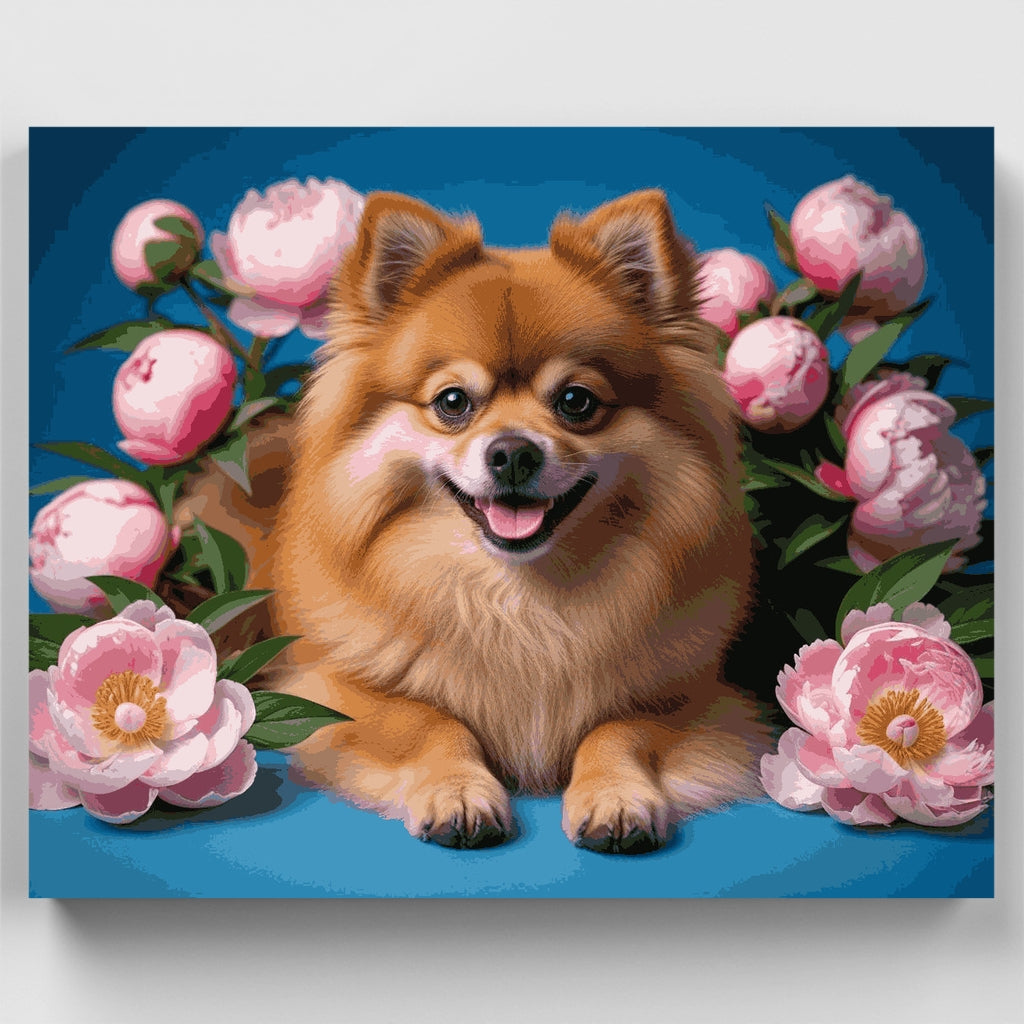 Pomeranian with Pink Peonies - Paint by Numbers Kit