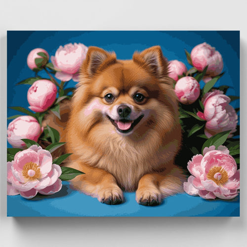 Pomeranian with Pink Peonies - Paint by Numbers Kit