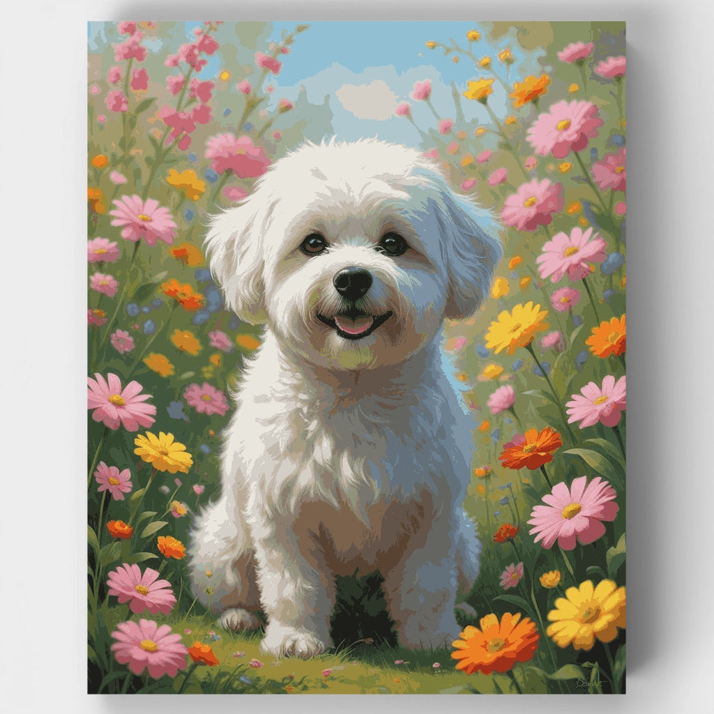 Bichón frisé en un campo de flores silvestres - Kit de pintura por números — Estándar