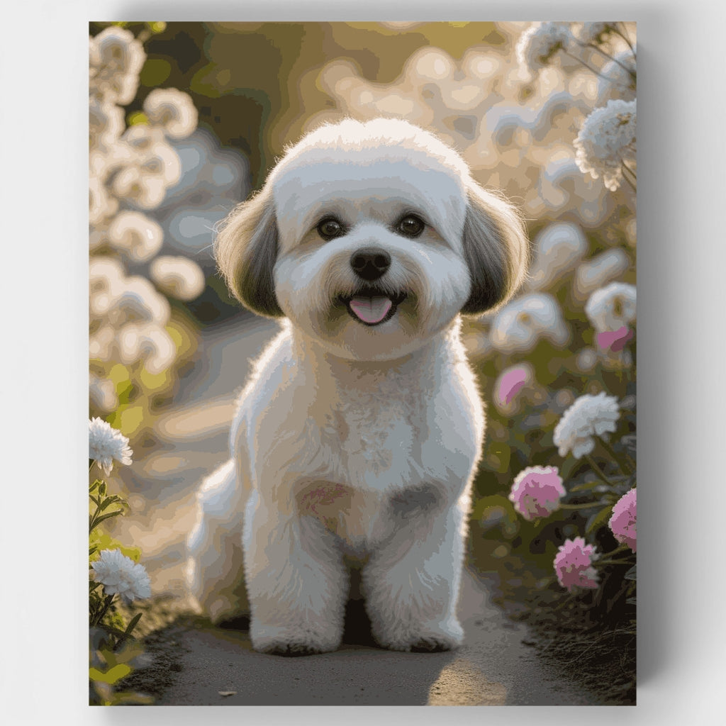 Bichón Frisé en el jardín - Kit de pintura por números — Estándar