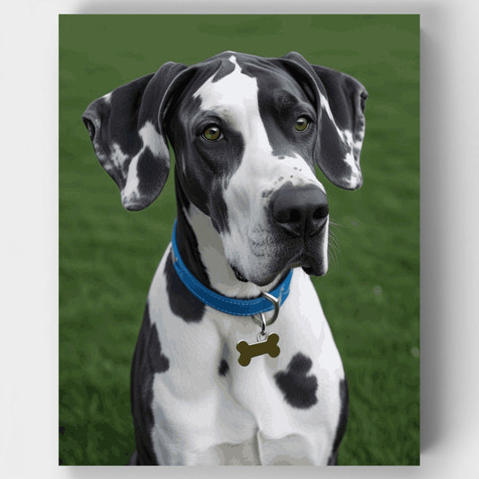 Great Dane - Paint by Numbers Kit