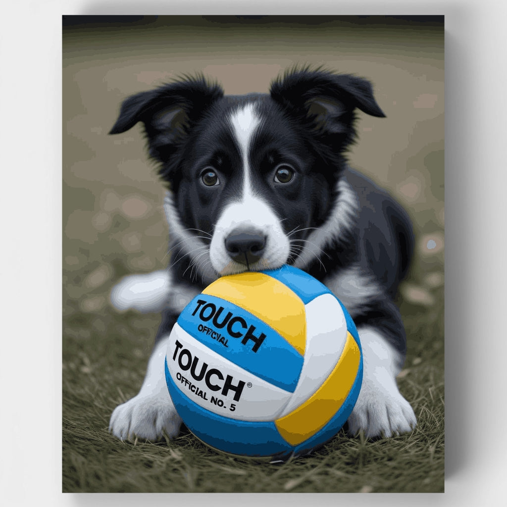 Cachorro de Border Collie con voleibol - Kit de pintura por números — Estándar