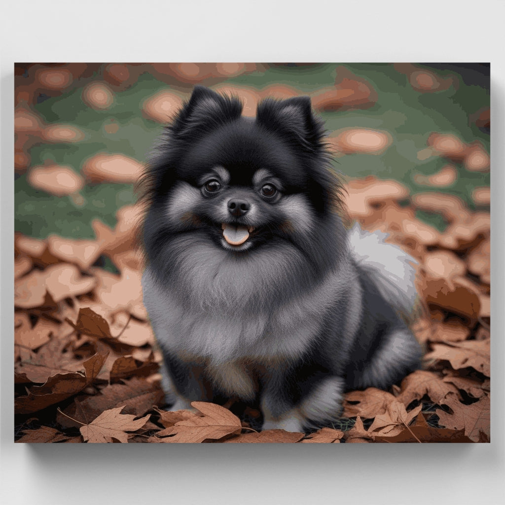 Fluffy Black Pomeranian in Autumn Leaves - Paint by Numbers Kit