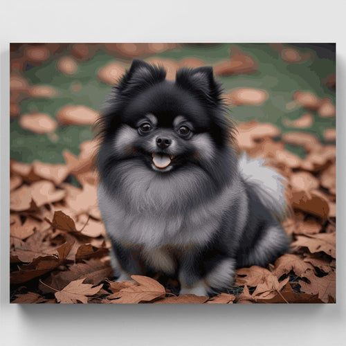 Fluffy Black Pomeranian in Autumn Leaves - Paint by Numbers Kit