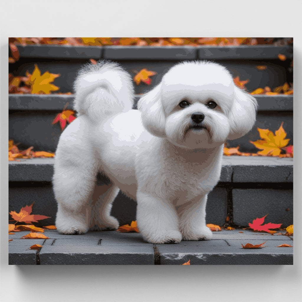 Bichón frisé esponjoso entre hojas de otoño - Kit de pintura por números — Estándar