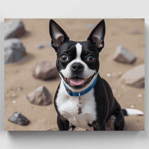 Boston Terrier at the Beach - Paint by Numbers Kit