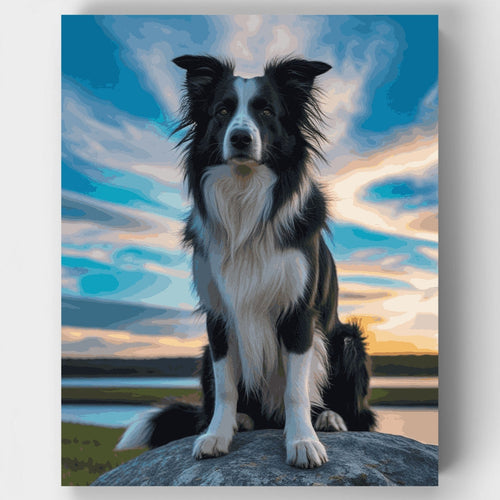 Border Collie at Sunset - Paint by Numbers Kit