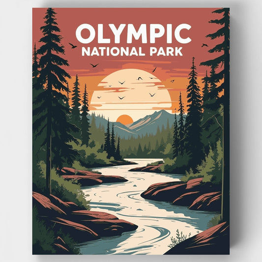 Olympic National Park River Sunset Through Pine Forest - Paint by Numbers Kit