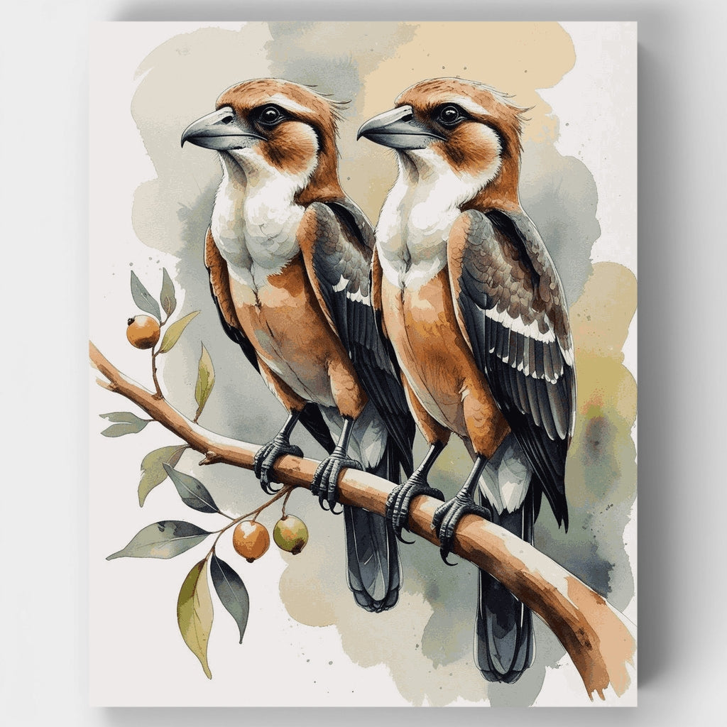 Kookaburras - Kit de pintura por números — Estándar