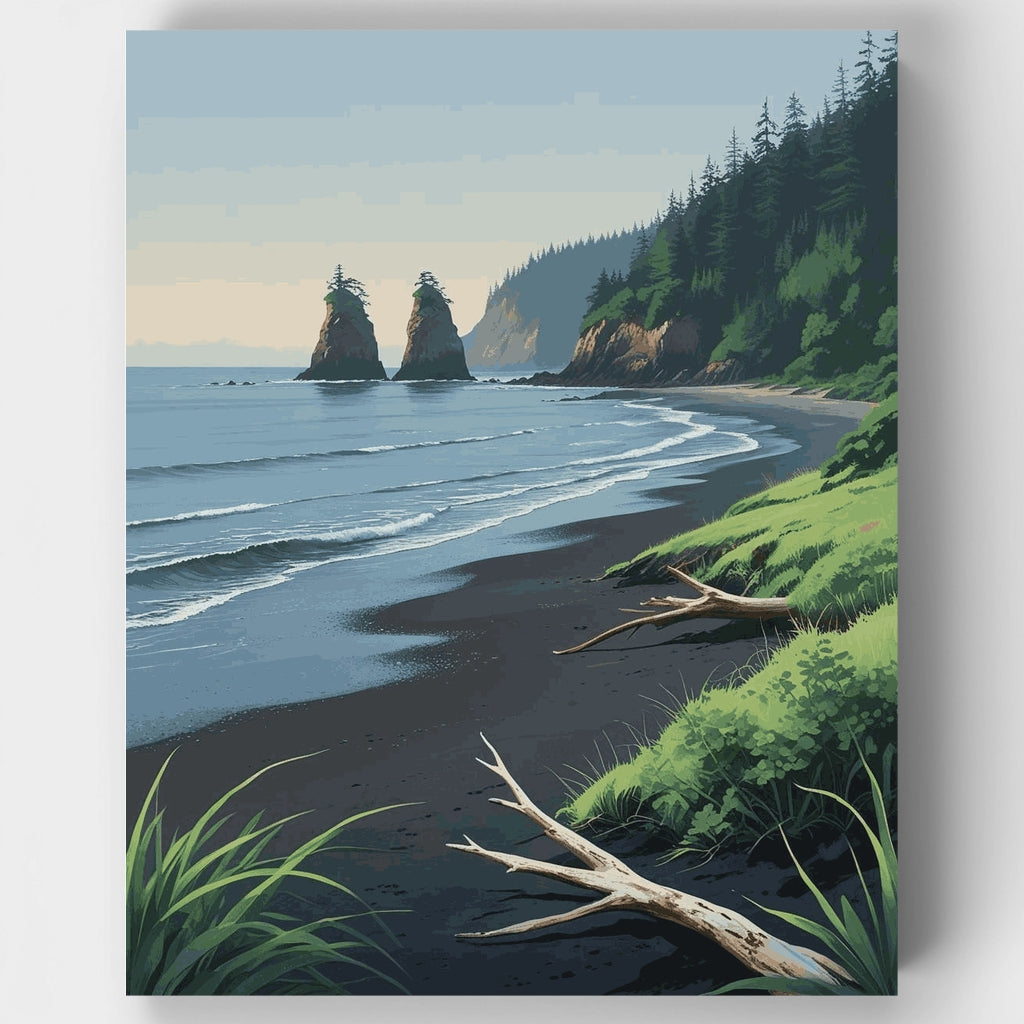Kit de pintura por números: Paisaje costero del Parque Nacional Olympic — Estándar