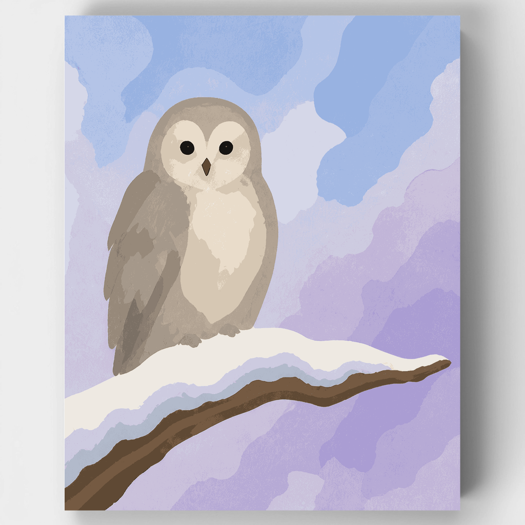 Snowy Branch Owl - Paint by Numbers Kit