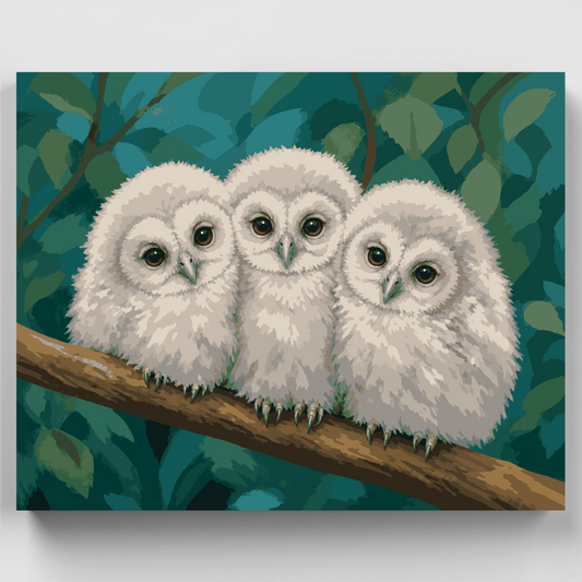 Three Owlets Huddled - Paint by Numbers Kit