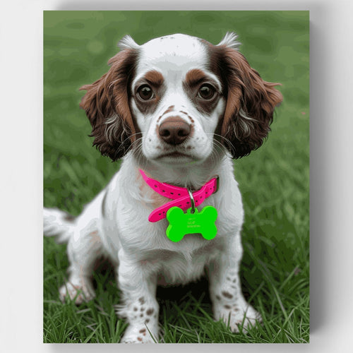 Adorable Spaniel with Pink Collar - Paint by Numbers Kit