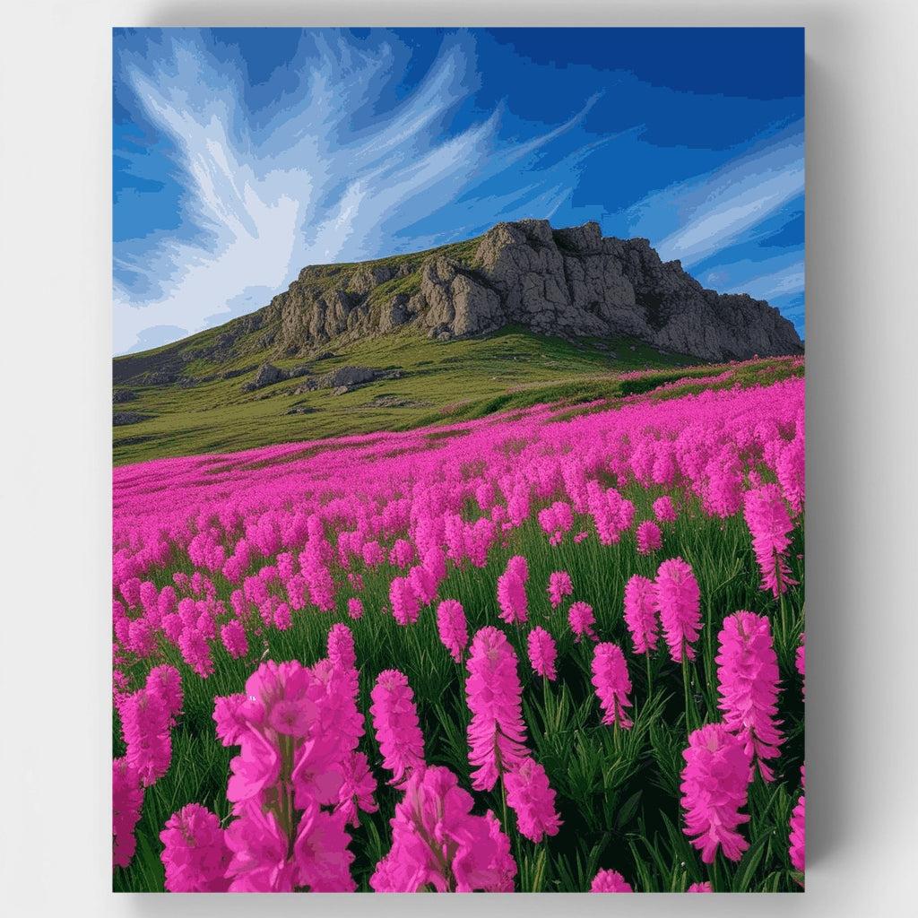 Kit de pintura por números - Prado de flores silvestres de montaña — Estándar