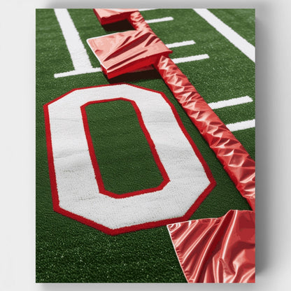 Ohio State Football Field - Paint by Numbers Kit