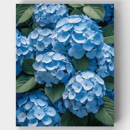 Blue Hydrangea Cluster Garden - Paint by Numbers Kit
