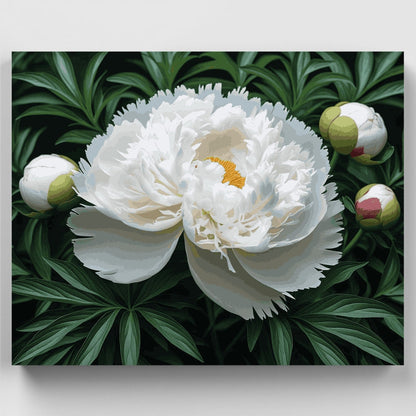 White Peony Bloom - Paint by Numbers Kit