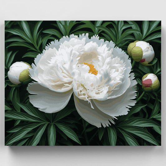White Peony Bloom - Paint by Numbers Kit