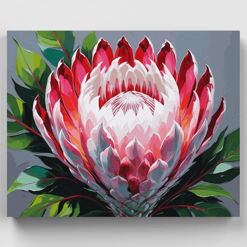 Bold Pink Protea Blossom - Paint by Numbers Kit