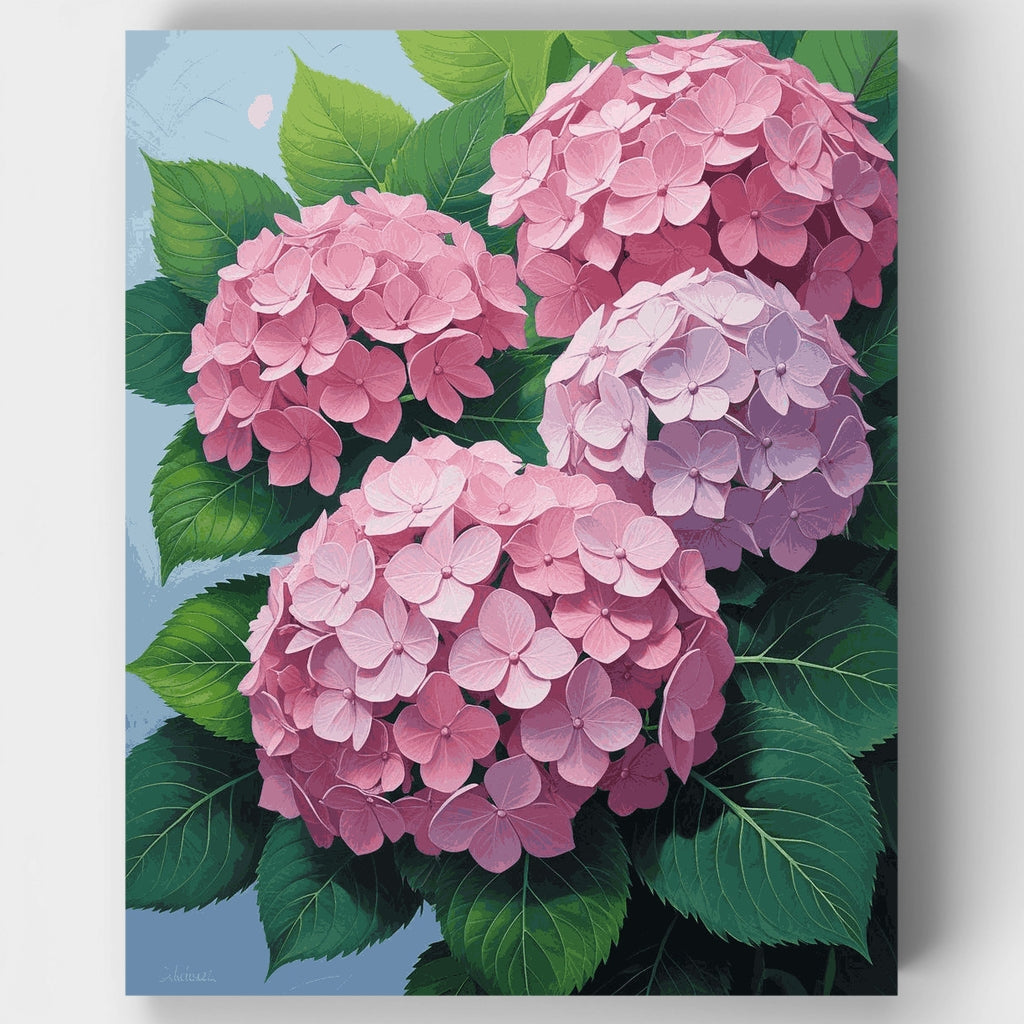 Hortensias rosas - Kit de pintura por números — Estándar