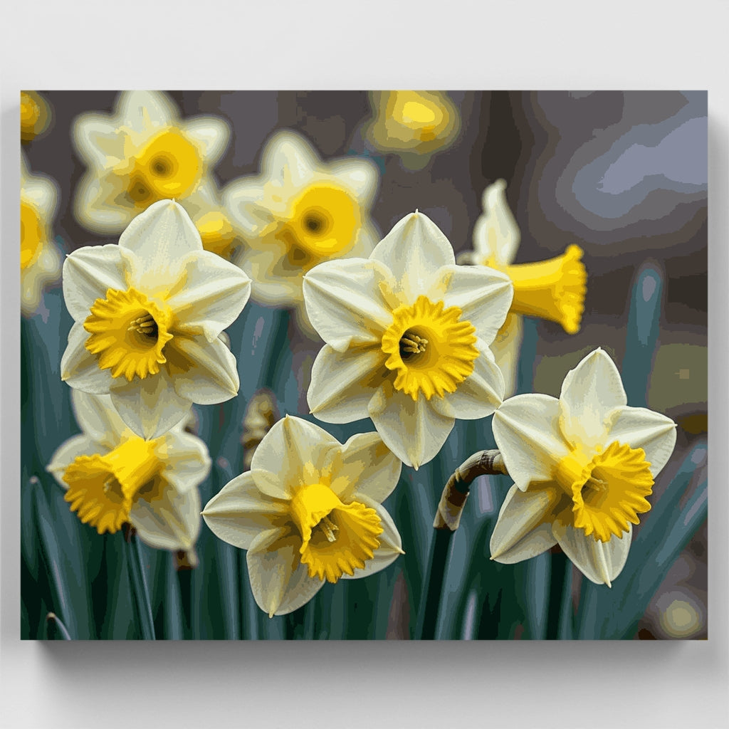 Narcisos brillantes de primavera - Kit de pintura por números — Estándar