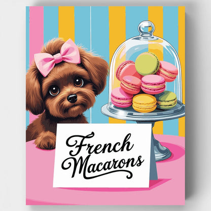 French Macarons - Paint by Numbers Kit