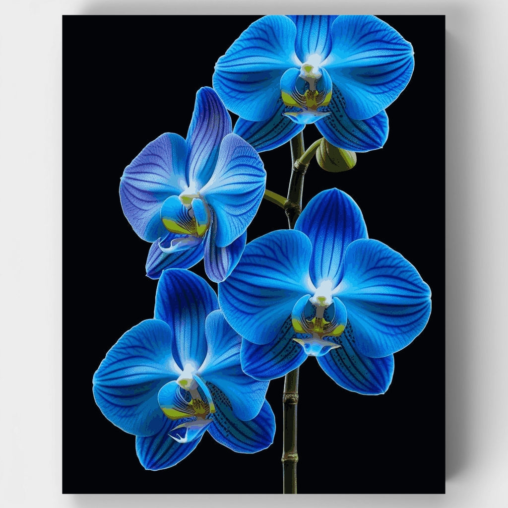 Orquídeas azules - Kit de pintura por números — Estándar