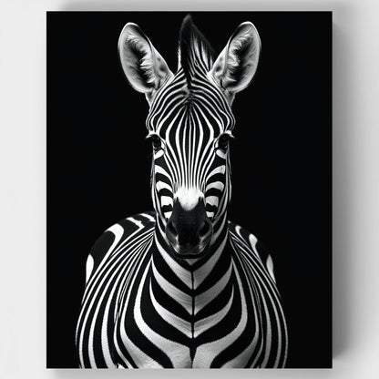 Zebra Portrait - Paint by Numbers Kit