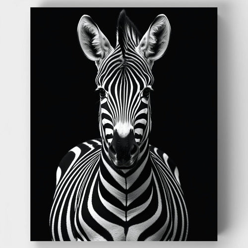 Zebra Portrait - Paint by Numbers Kit