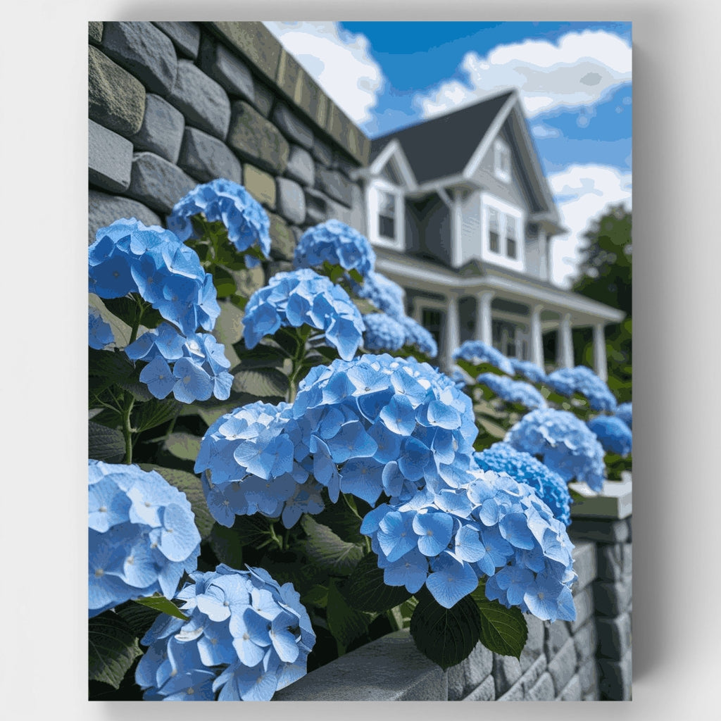 Hortensias azules junto a muro de piedra - Kit de pintura por números — Estándar