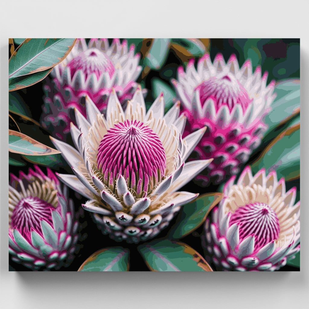 Colección de flores exóticas Protea - Kit de pintura por números — Estándar