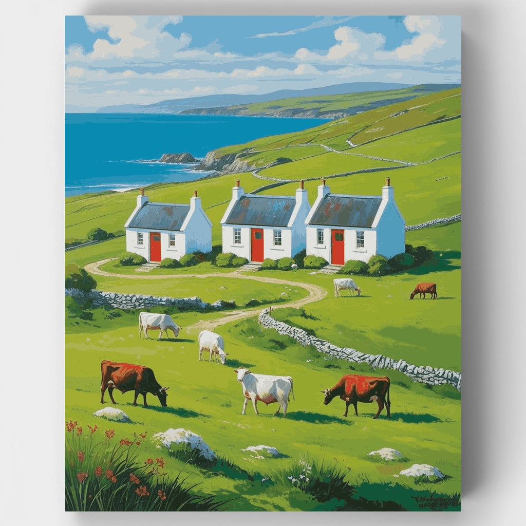 Casas de la costa irlandesa - Kit de pintura por números — Estándar