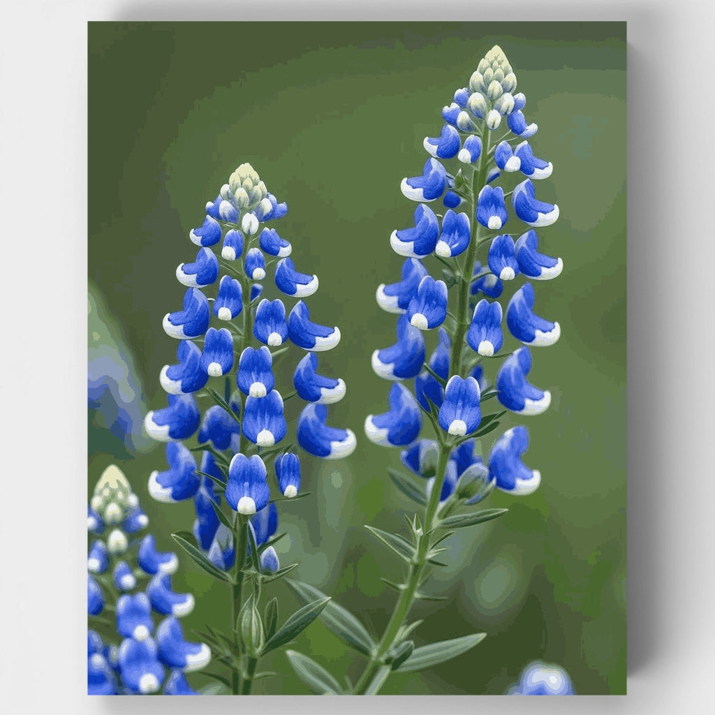 Texas Bluebonnet Wildflower Spikes - Paint by Numbers Kit