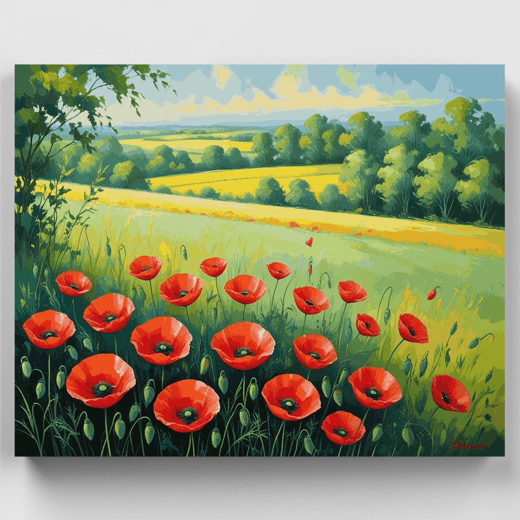 Amapolas rojas en un campo rural - Kit de pintura por números — Estándar