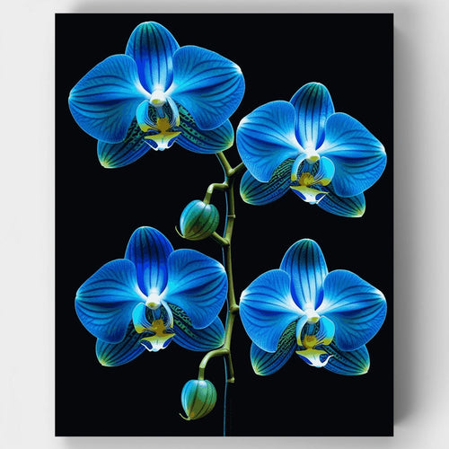 Elegant Blue Orchid Stem - Paint by Numbers Kit