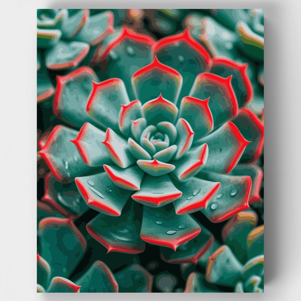 Jardín de suculentas vibrantes - Kit de pintura por números — Estándar