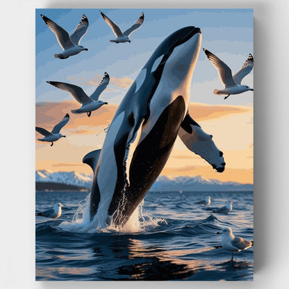 Orca Whale Breaching with Seagulls - Paint by Numbers Kit