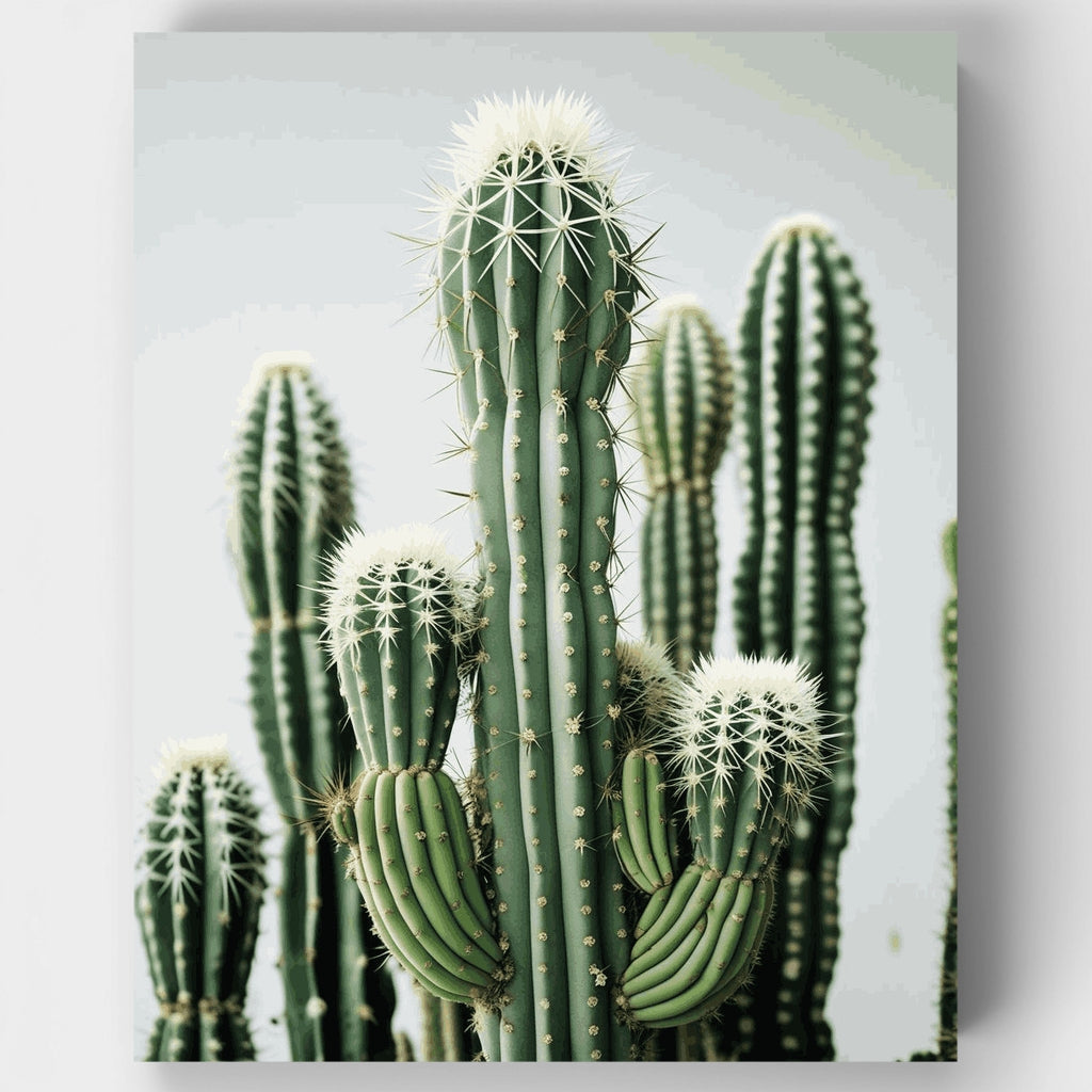 Desert Cactus Garden - Paint by Numbers Kit