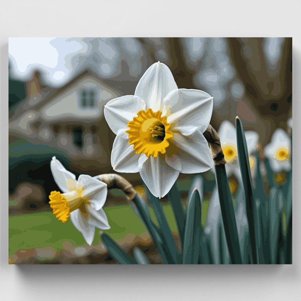 Narcisos de primavera en flor - Kit de pintura por números — Estándar